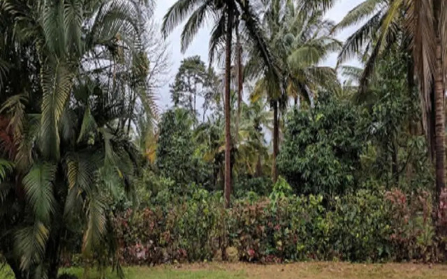 Hasiru Farms Homestay By Stayapart