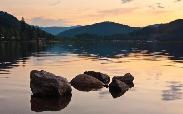 Drei Tannen - Wohnung 07 - Apartmenthaus, Titisee, Feldberg