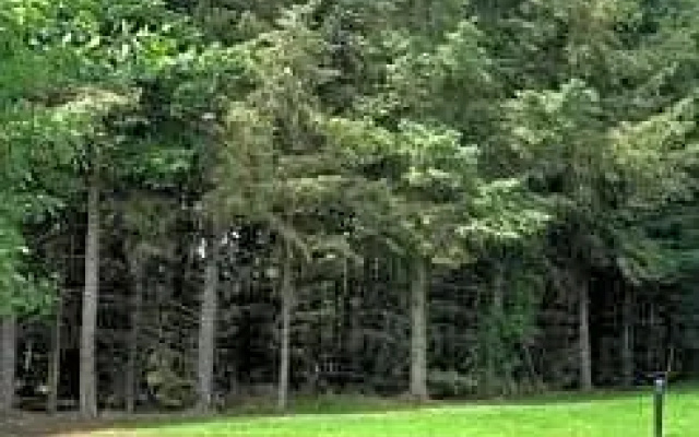 Rose Lodge - Hot Tub Getaway - Percy Woods - Pet Friendly