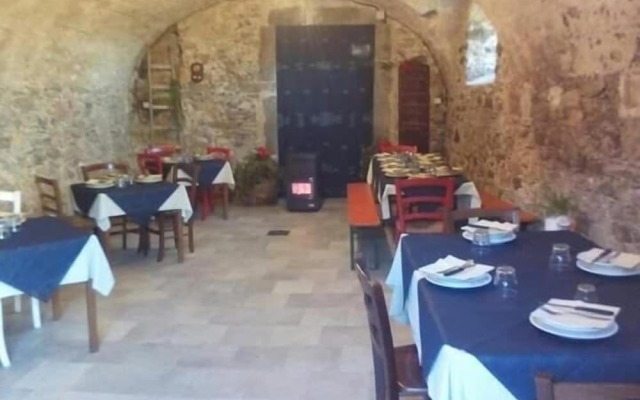 Le Chianine dei Tognoli