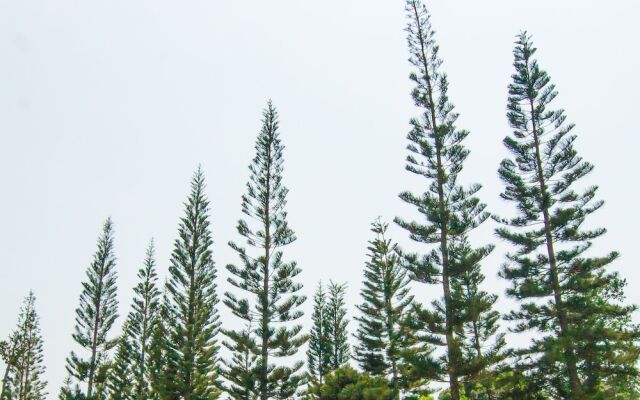 The Natural Garden - Khao Soi Dao -