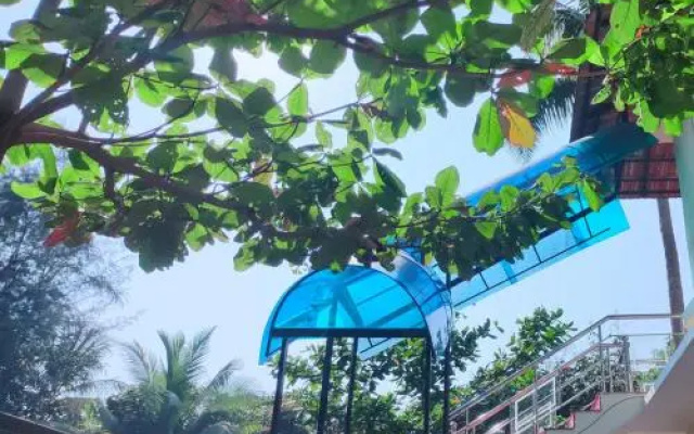 Mango Meadows