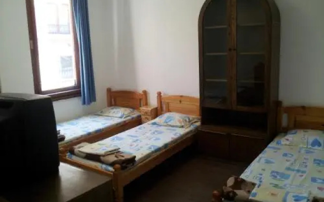 Hostel The Old House