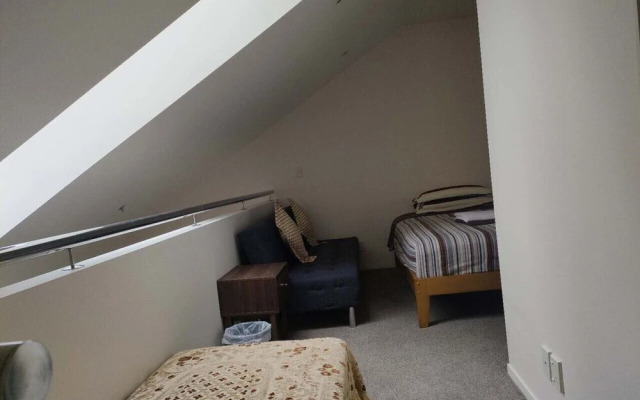 3 Double 1 Single 2 Sofa Beds apartment