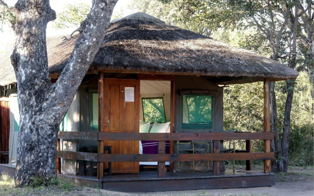 Shindzela Tented Safari Camp