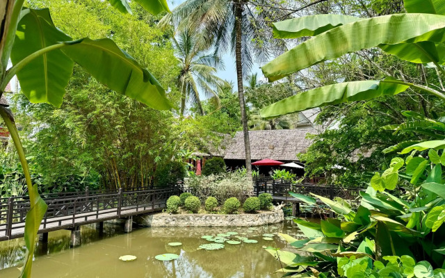 Parasol Blanc Luang Prabang
