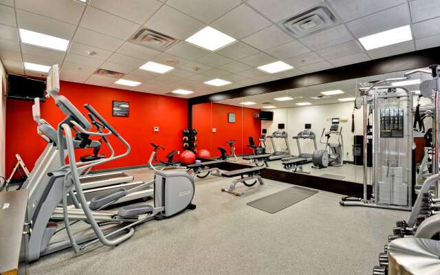 Hilton Garden Inn Tampa Northwest/Oldsmar