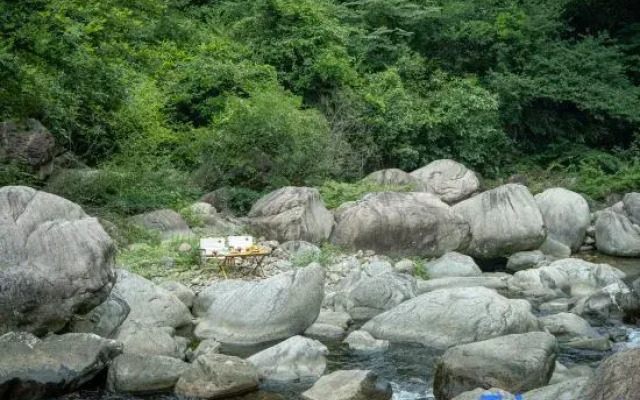Shulin, Freedom in the Deep Creek|Bamboo Forest Seclusion, Parent-child River Tracing Accommodation