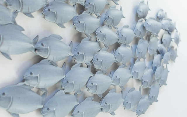 Ipar kale - baskeyrentals