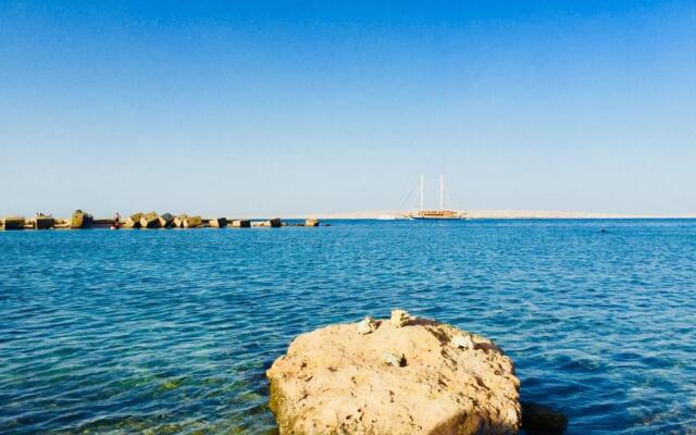 Diamond Arabia Orange