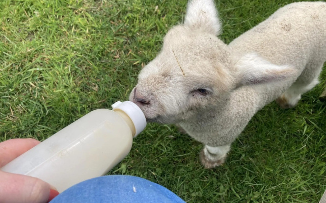 Gratton Grange Farm Bed & Breakfast
