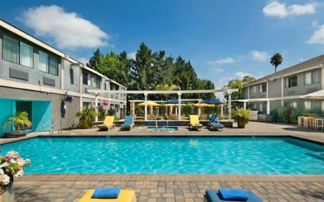 Maple Tree Inn