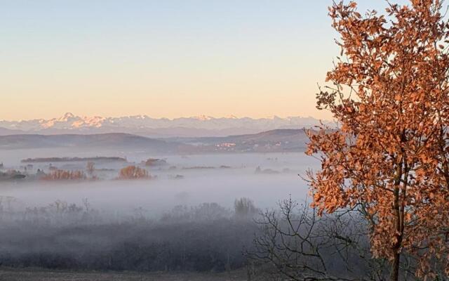 Domaine de Quintalone