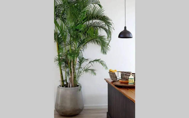 McFarlane Residence by Top Destinations Rentals