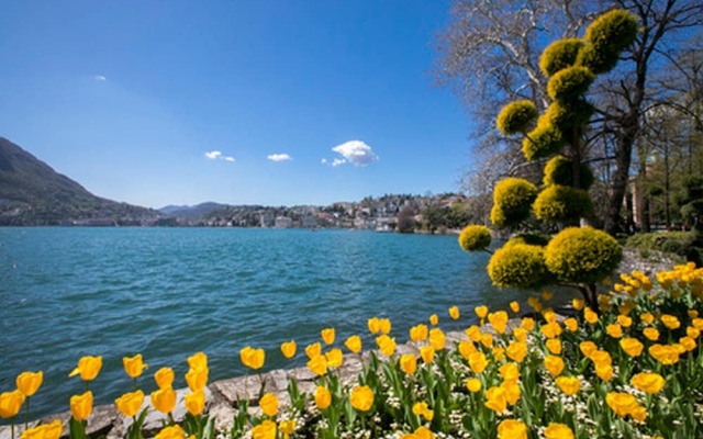 Central Lugano Apartment