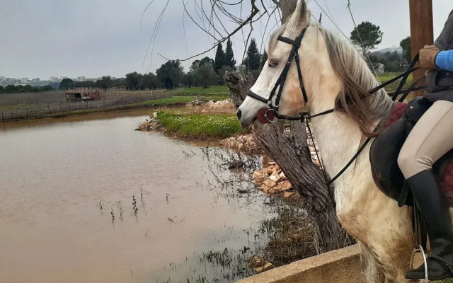 The Ranch - Lodge & Equestrian Center