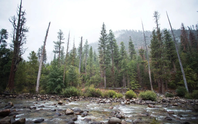 Cedar Grove Lodge