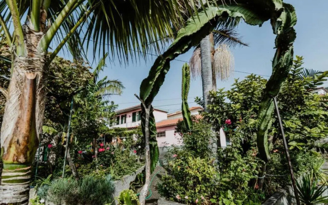 City View Gardens