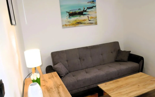 Large Holiday Apartment With a Garden in Stepnica