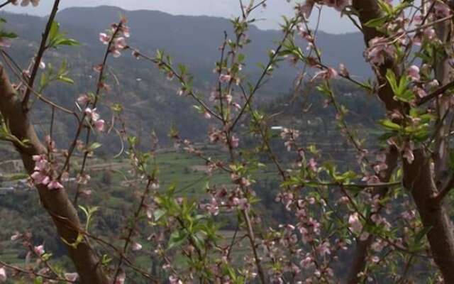 The Woodstock Resort