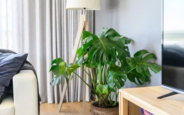 Your Ocean Oasis Ocean Country Views Spa Pet Friendly Fireplace