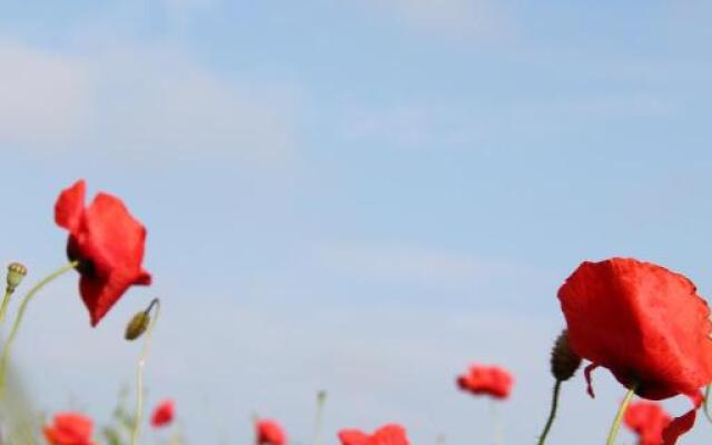 Ruhige Ferienwohnung in Niepars