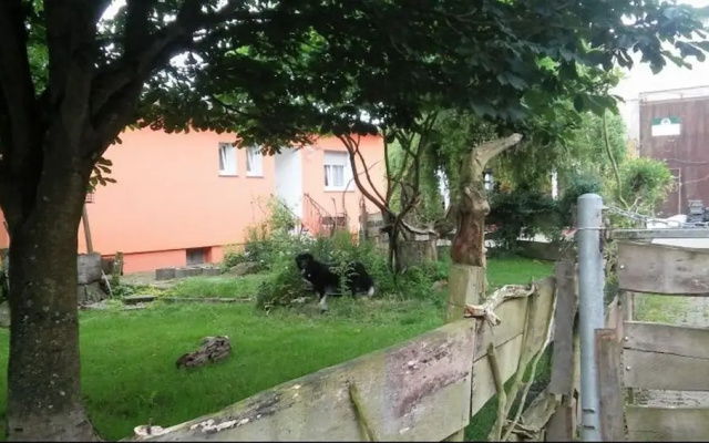 Ferienwohnung Weitblick