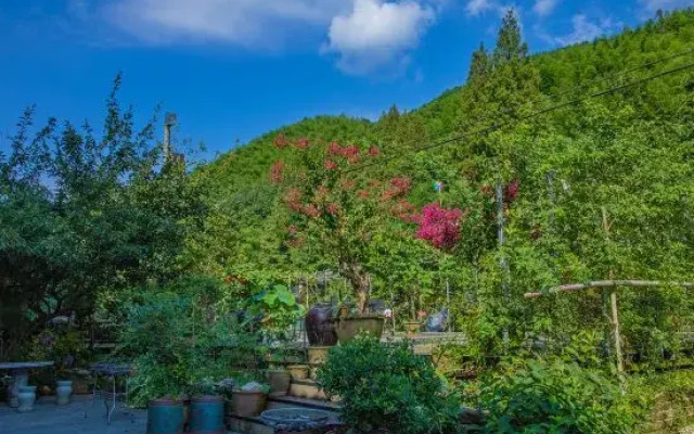 Zhuying Guesthouse