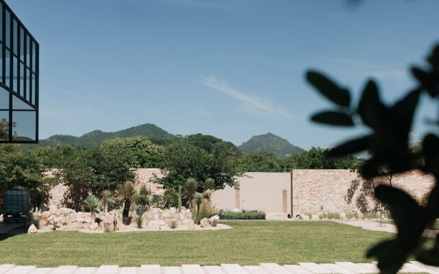 Piedra Viva Tepoztlan
