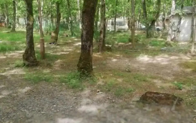 Бунгала Елит 95