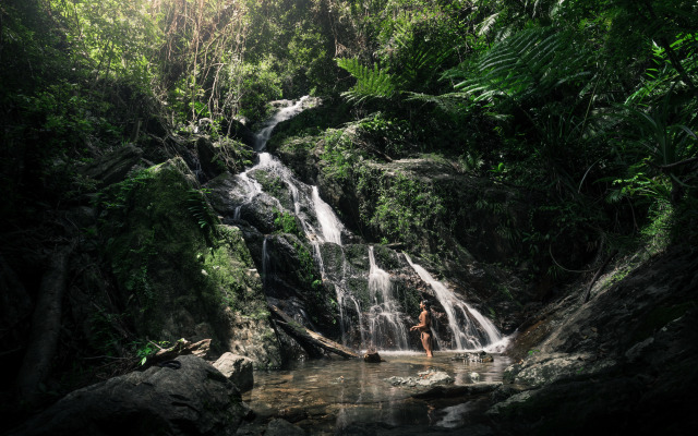 Daintree Ecolodge