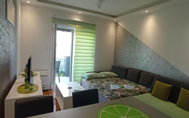 Apartment Leo 11