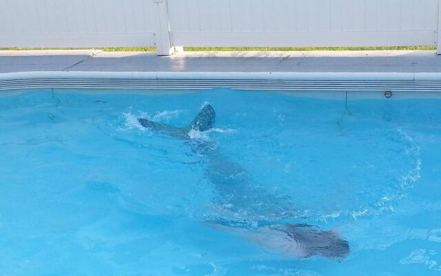 MacKenzie's Motel & Cottages