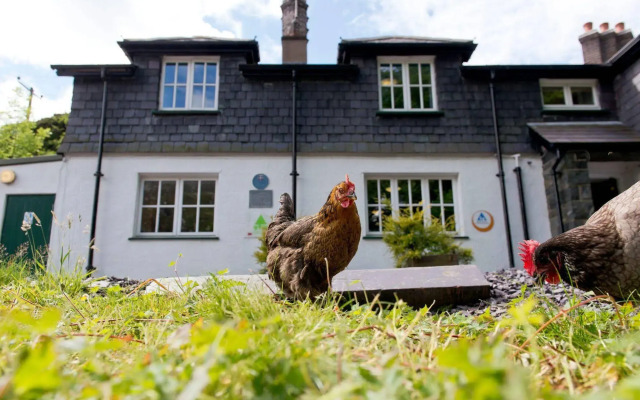 YHA Idwal Cottage
