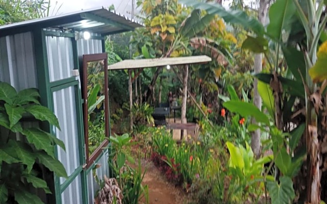 ECO Bedugul adventurer camp