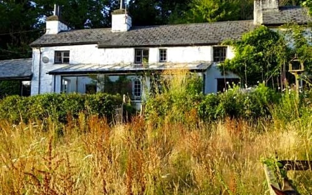 Lea cottage