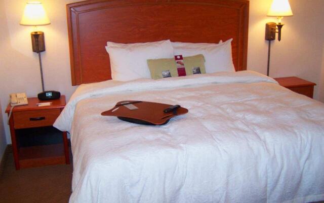 Hampton Inn by Hilton Torreon-Airport Galerias