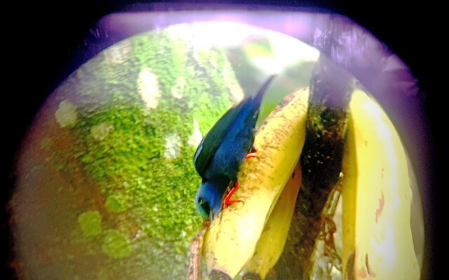 Arenal Rustic Lodge