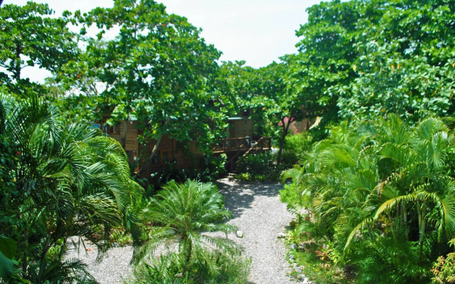 Cocolobo Resort