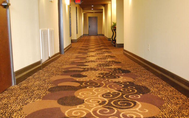 Scholar Morgantown, Tapestry Collection by Hilton