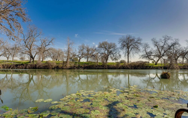 Seguin Riverfront Retreat: Fishing Dock + Kayaks!