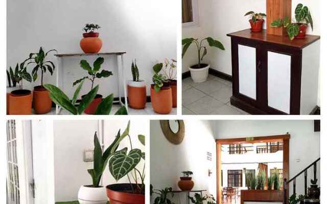 Rumaterra Bed & Breakfast