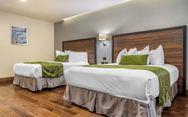 Hotel Chihuahua San Francisco