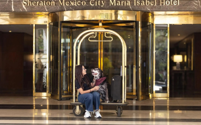 Sheraton Mexico City Maria Isabel Hotel