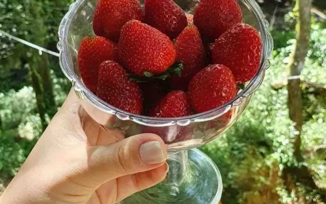 Pousada Butique L'esperienza - Ecoturismo