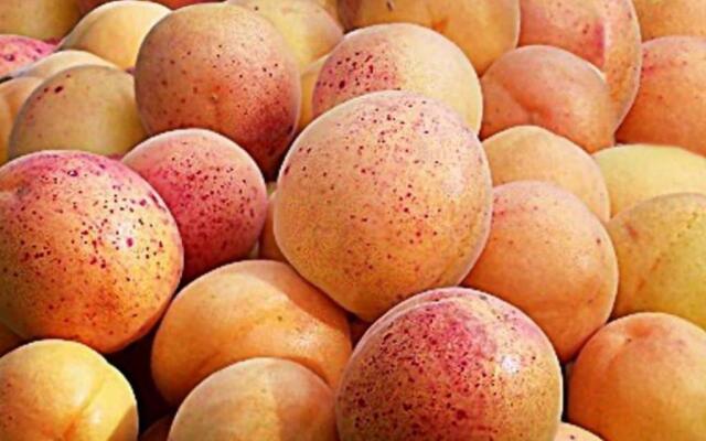 A pochi minuti dal mare