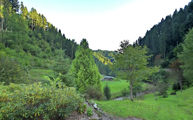 Pretty Apartment in Oppenau near Black Forest National Park
