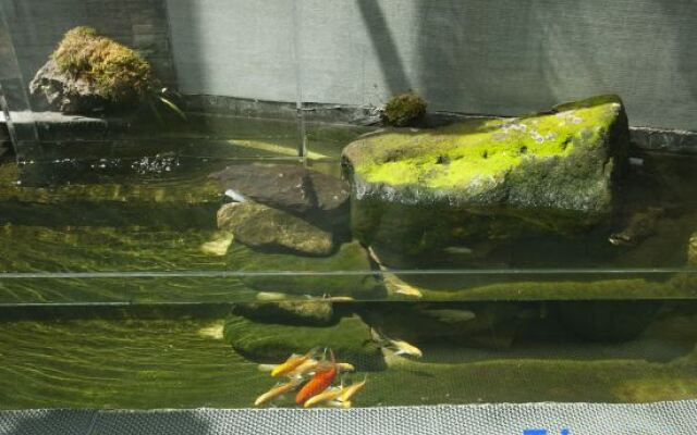 Qixin Bieyuan Boutique Hostel