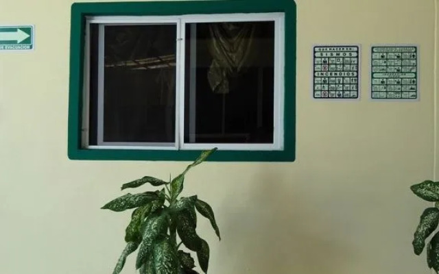 Oyo Hotel Palma Real