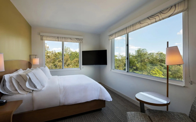 Element Spring Valley